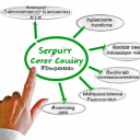 Benefits of Cybersecurity Software